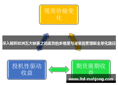 深入解析欧洲五大联赛之间差异的多维度与背景因素理解全景化路径 深入解析欧洲五大联赛之间差异的多维度与背景因素理解全景化路径