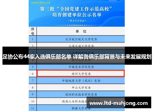 足协公布44家入选俱乐部名单 详解各俱乐部背景与未来发展规划