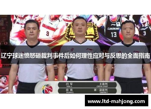 辽宁球迷愤怒砸裁判事件后如何理性应对与反思的全面指南