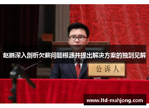 赵鹏深入剖析欠薪问题根源并提出解决方案的独到见解