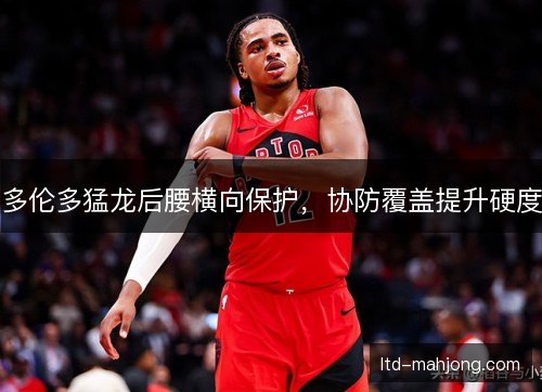 多伦多猛龙后腰横向保护，协防覆盖提升硬度
